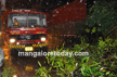 Mangaluru: Strong winds uproot trees across district